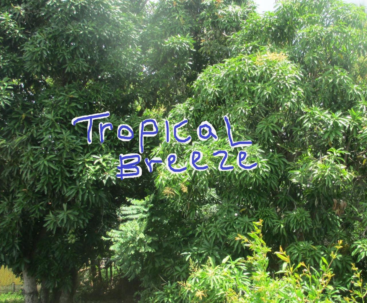 Tropical Breeze Vacation Home And Apartments Гроз-Иле Экстерьер фото
